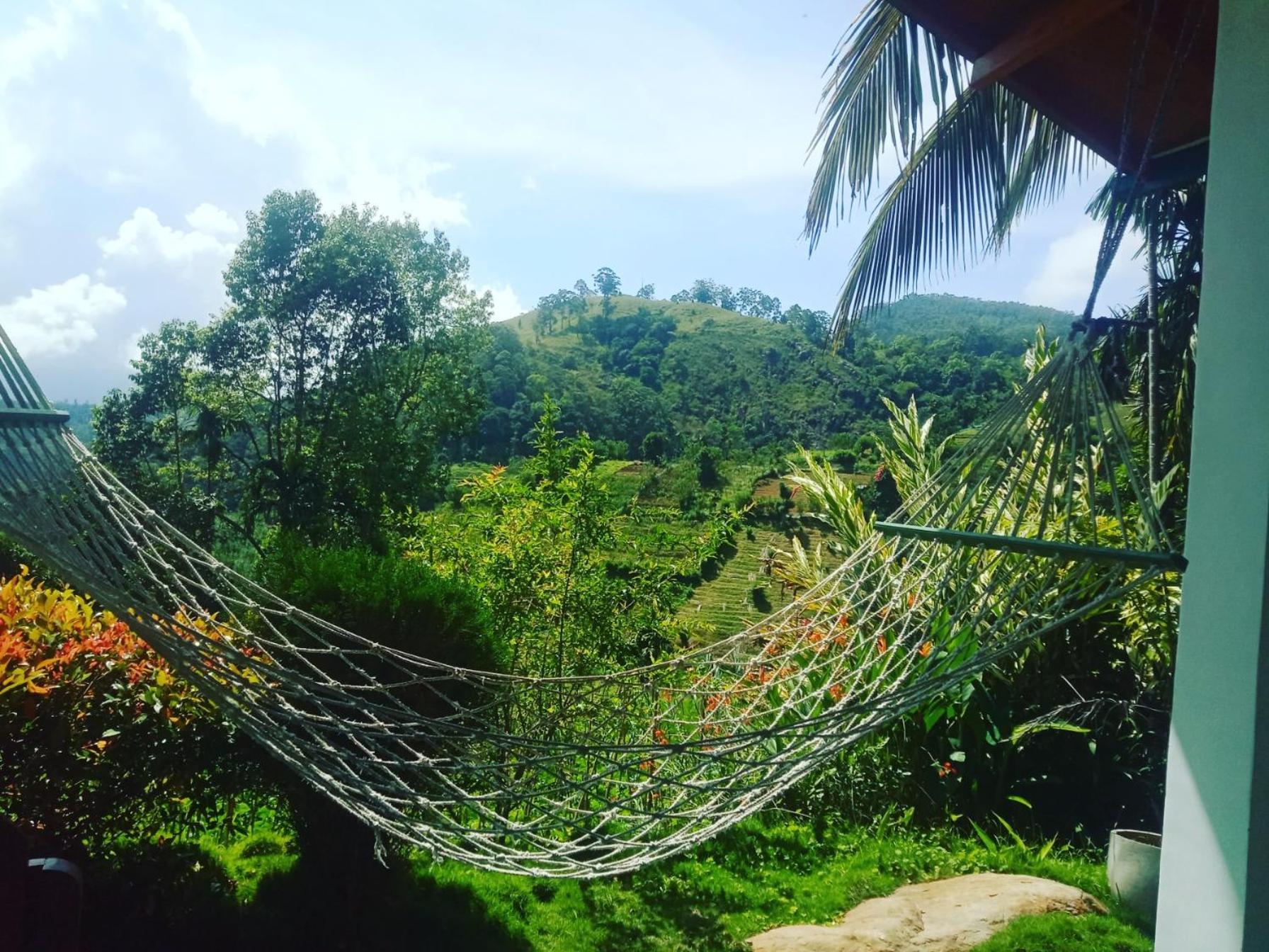 New Farmers Paradise Ella Phòng bức ảnh