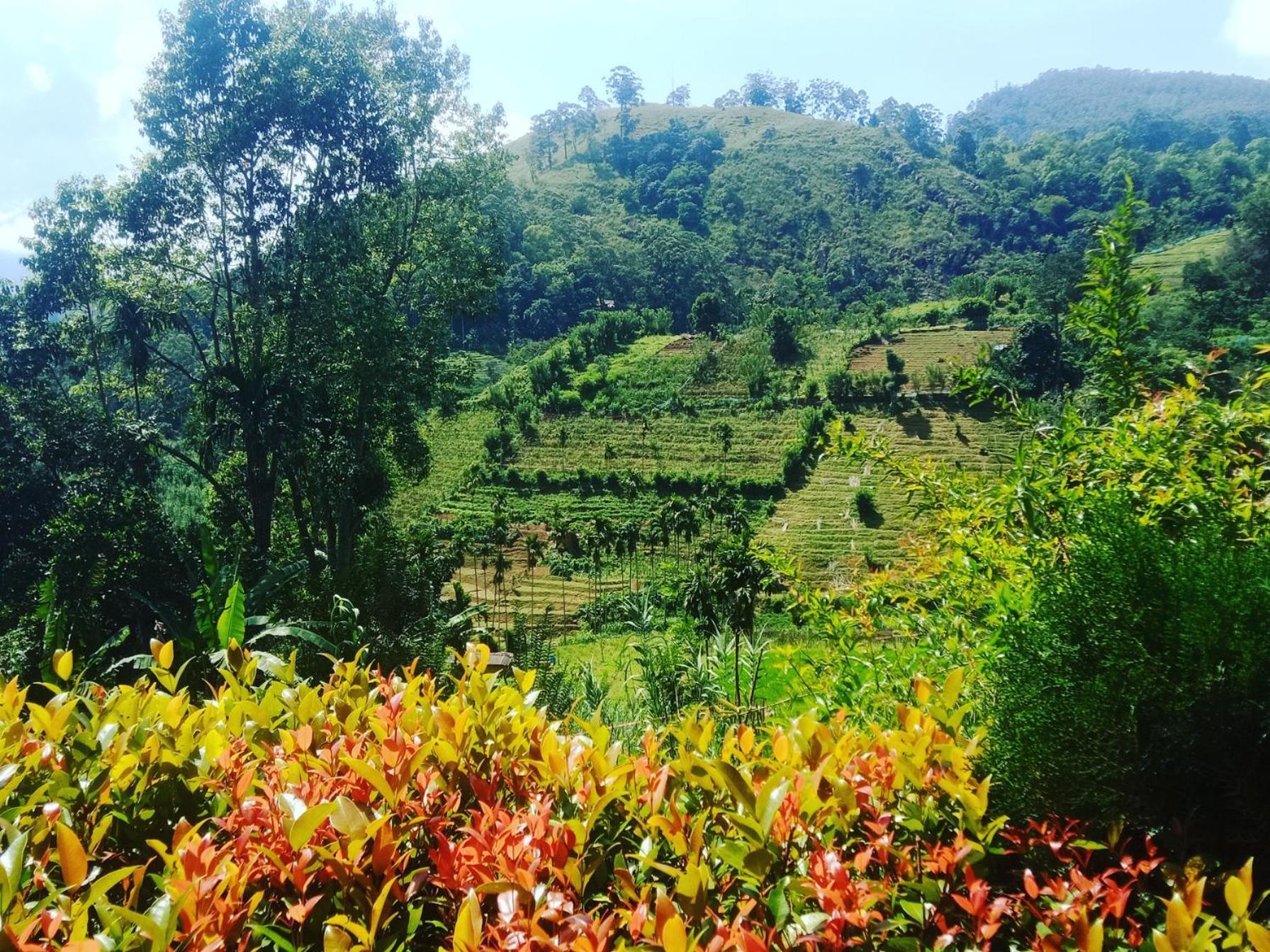 New Farmers Paradise Ella Phòng bức ảnh