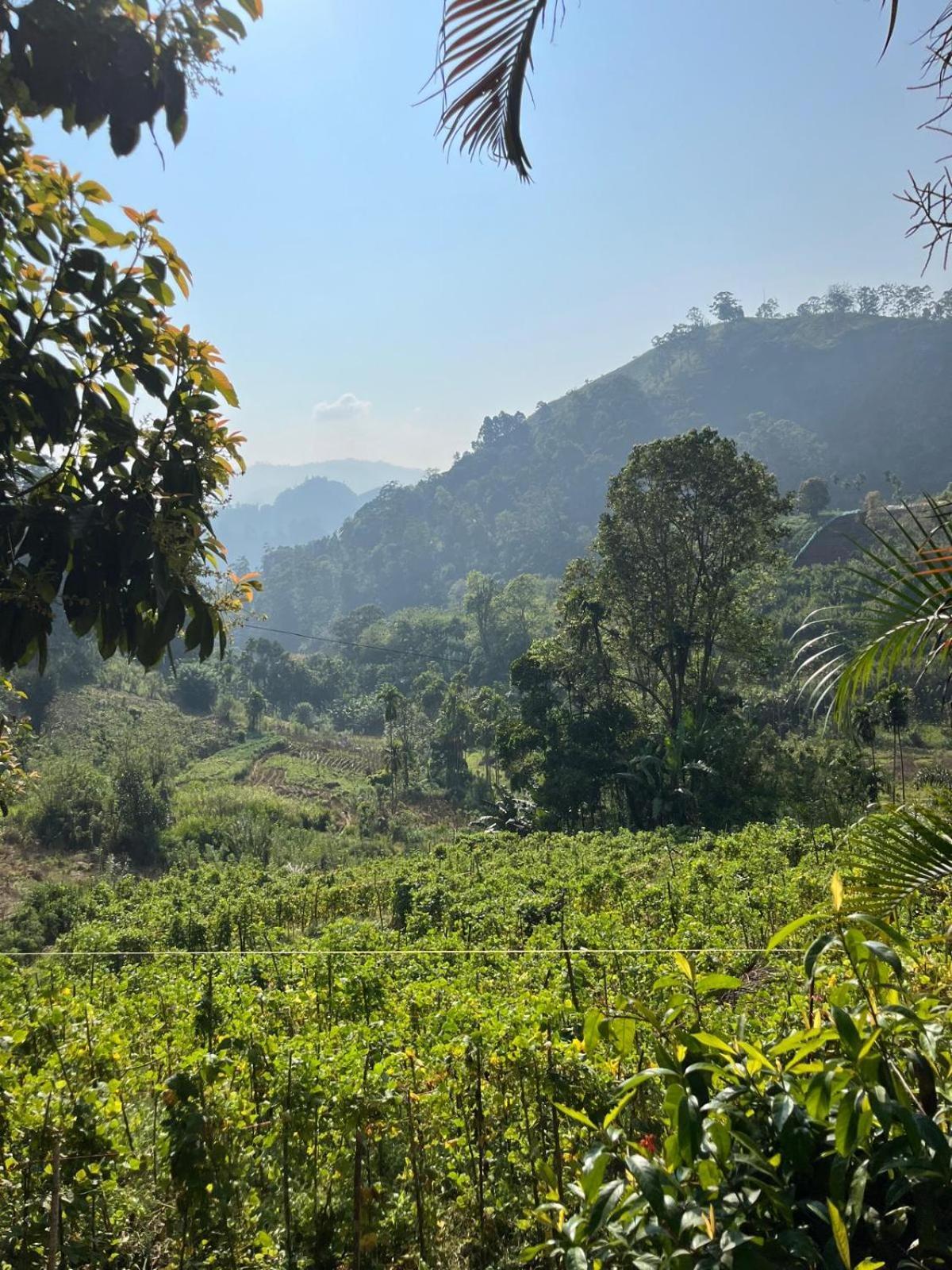 New Farmers Paradise Ella Ngoại thất bức ảnh
