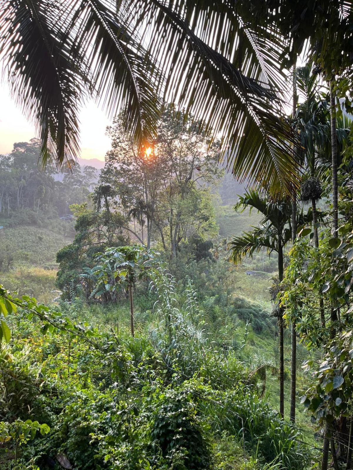New Farmers Paradise Ella Ngoại thất bức ảnh